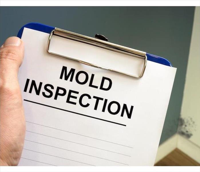 "Mold Inspection"